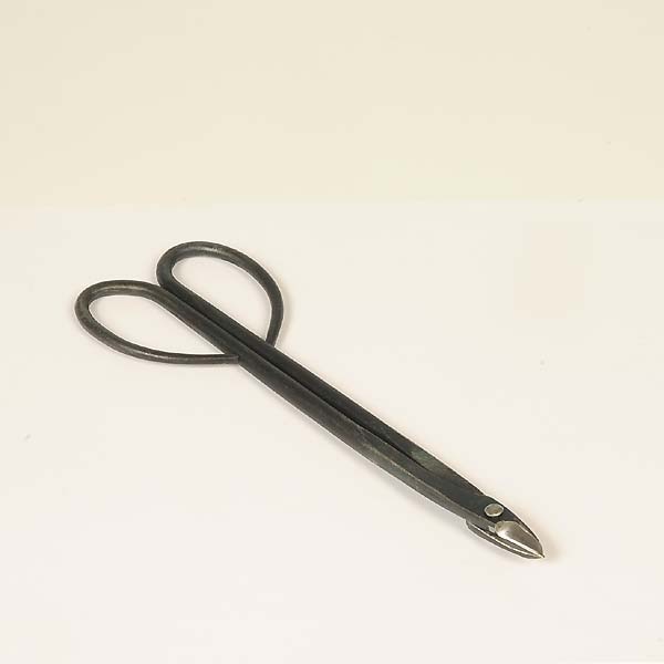 �ߺ�ƻ��δ�������������˶�������215����*���