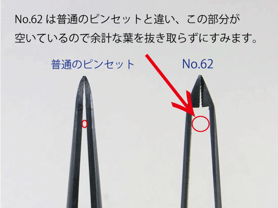 盆栽道具：兼進作 No.62 松葉抜き用ピンセット(直) 215mm*資材 かね