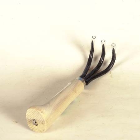 �ߺ�ƻ��Ȭ�ڸ���������������3����*���