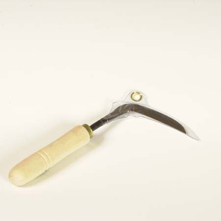 �ߺ�ƻ��Ȭ�ڸ������ؤ���(��)��190����*���