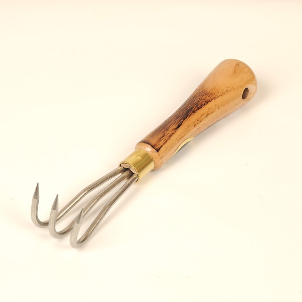 �ߺ�ƻ��Ȭ�ڸ������ƥ�쥹����������3����*���