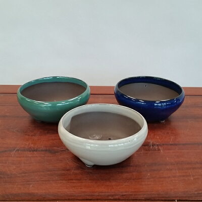 ��ȭ����ȭ(Ŵȭ5��)��15.5���*���