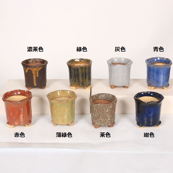 鉢：信楽焼けんがい鉢 6cm*資材 | 盆栽鉢・水盤,お買い得小鉢,色物