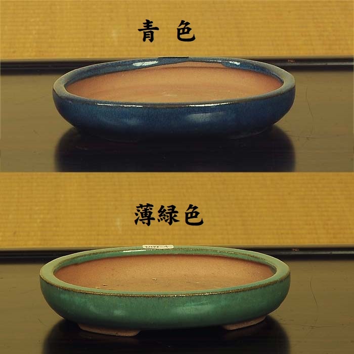 鉢：中国産小鉢 15.0cm*資材 | 盆栽鉢・水盤,お買い得小鉢,色物,鉢径