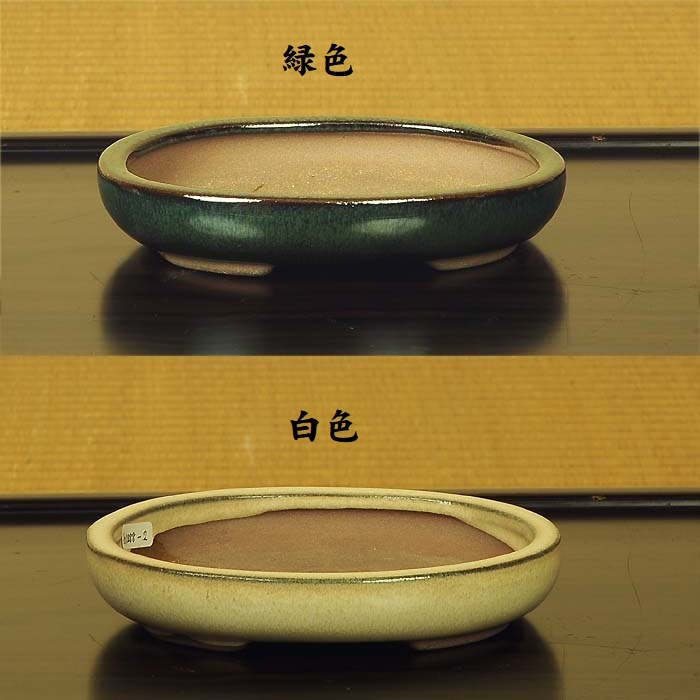 鉢：中国産小鉢 15.0cm*資材 | 盆栽鉢・水盤,お買い得小鉢,色物,鉢径