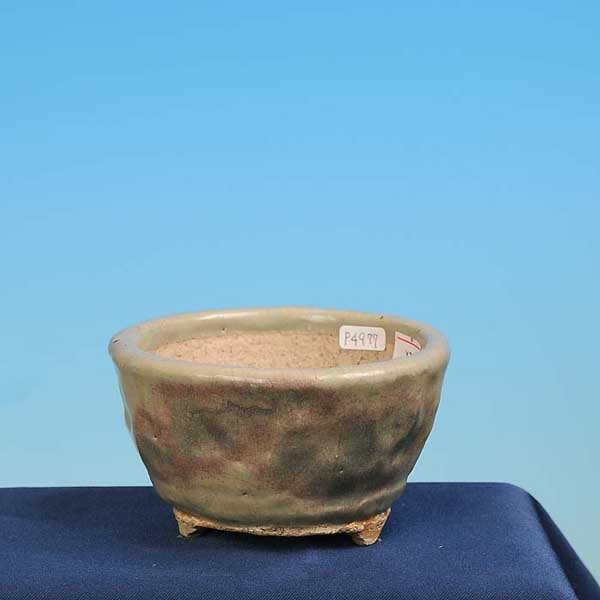 忠寛(ちゅうかん) 12.0cm | 盆栽鉢・水盤,現代小鉢,忠寛 | 遊恵盆栽 本店
