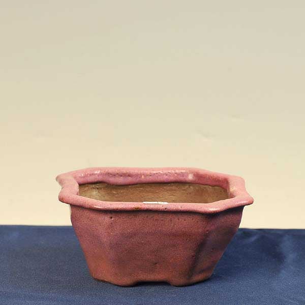 獅子丸　六角　盆栽鉢 獅子丸 16.0cm | 盆栽鉢・水盤,現代小鉢,その他(高級) | 遊恵盆栽 本店