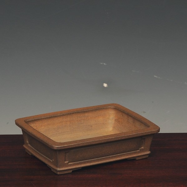 和雀(わじゃく) 14.2cm 【現品】 【送料無料】 | 盆栽鉢・水盤,現代