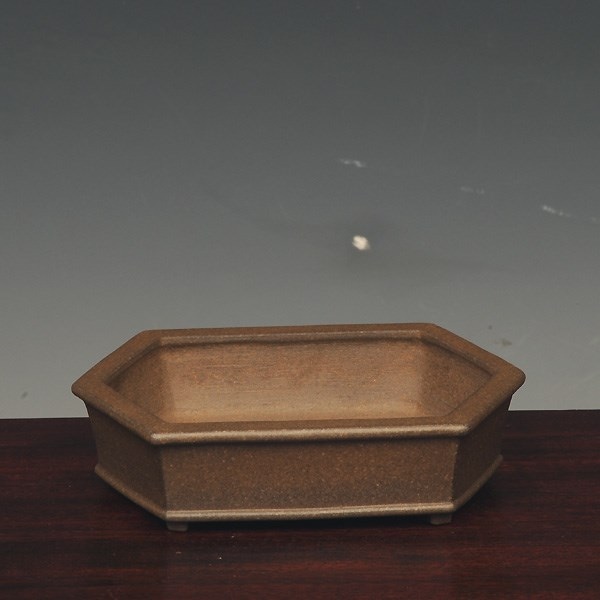 盆栽小鉢　　【和雀】　　希少品　　早い者勝ち 現代小鉢：和雀(わじゃく)丸鉢 4cm【現品】*資材 : 遊恵盆栽 Yahoo