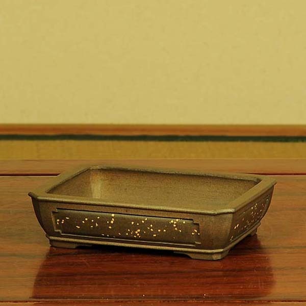 和雀(わじゃく) 13.8cm 【現品】 【送料無料】 | 盆栽鉢・水盤,現代