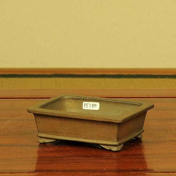 鉢：和雀(わじゃく) 11.5cm 【現品】 【送料無料】*資材 | 盆栽鉢