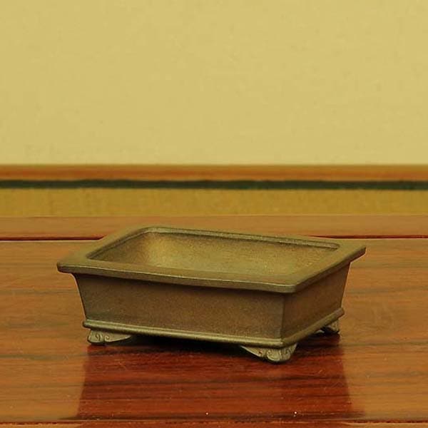 盆栽小鉢　　【和雀】　　希少品　　早い者勝ち 現代小鉢：和雀(わじゃく)丸鉢 4cm【現品】*資材 : 遊恵盆栽 Yahoo
