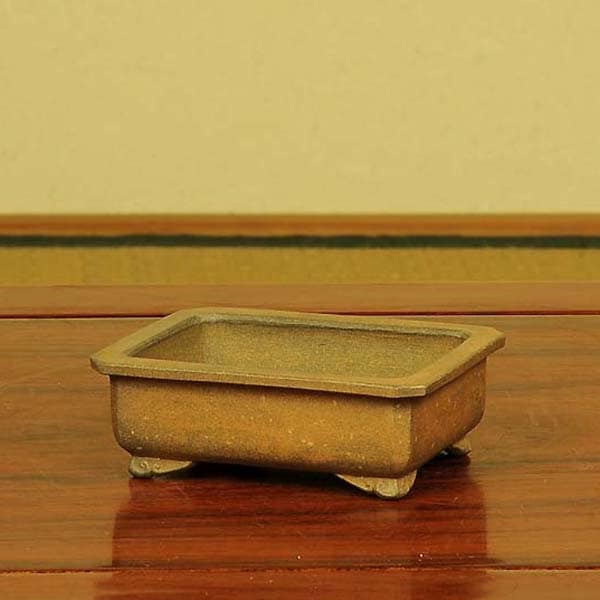 鉢：和雀(わじゃく) 11.1cm 【現品】 【送料無料】*資材 | 盆栽鉢