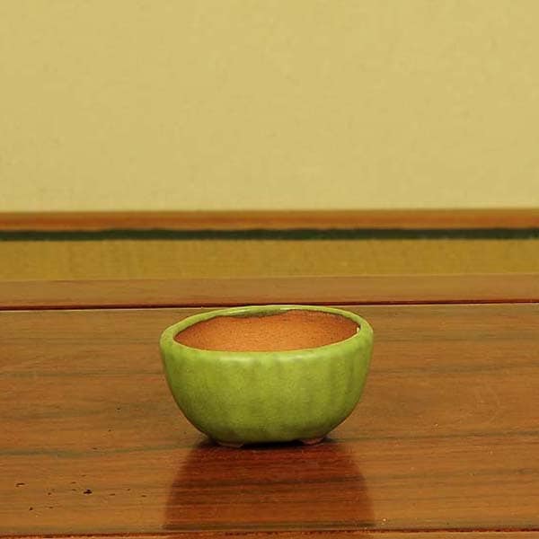 和雀(わじゃく) 7.5cm 【現品】 | 盆栽鉢・水盤,現代小鉢,和雀(わ
