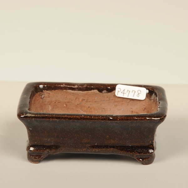 秀峰鉢(2) 秀峰鉢【大宮盆栽村100周年記念】 | bonsaiQ store