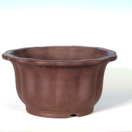 盆栽鉢　ミニ盆栽鉢　山秋　常滑焼 常滑作家：山秋(やまあき) 24.0cm | 盆栽鉢・水盤,現代小鉢,山秋
