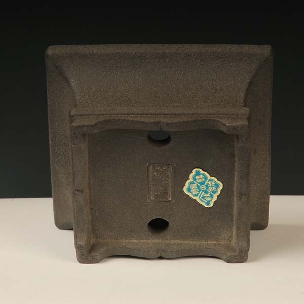 常滑作家：山秋(やまあき) 8.4cm | 盆栽鉢・水盤,現代小鉢,山秋