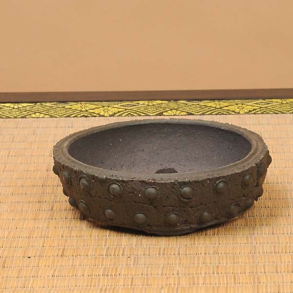 小松泉 山秋 盆栽鉢 秋静庵（山秋） 盆栽鉢 190mm×158mm×62mm 【公式通販】