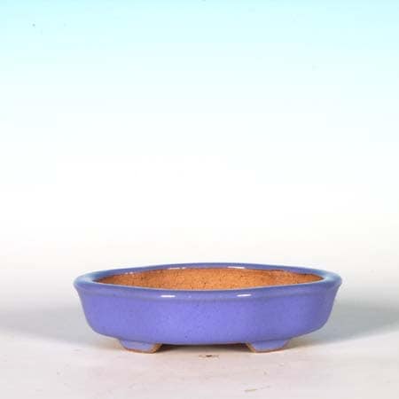 常滑作家：一弘 12.5cm | 盆栽鉢・水盤,現代小鉢,壱興(一弘)・正山
