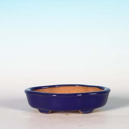 常滑作家：一弘 12.5cm | 盆栽鉢・水盤,現代小鉢,壱興(一弘)・正山