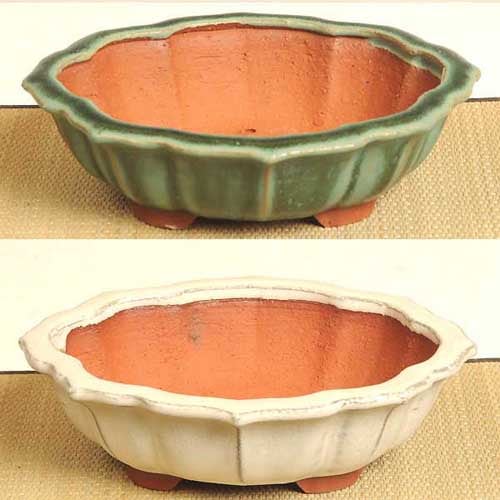 常滑作家：英明(燿山) 15.0cm | 盆栽鉢・水盤,現代小鉢,燿山・英明