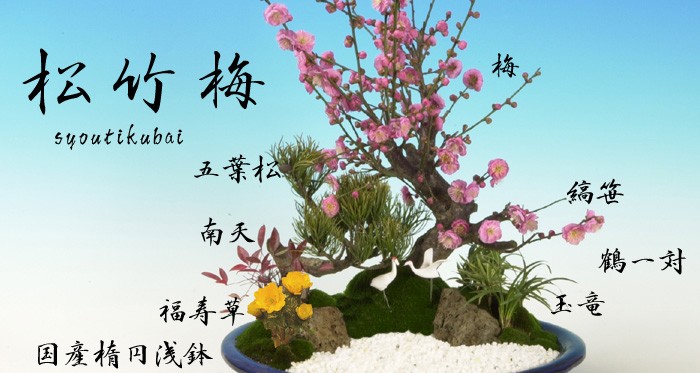 春 松竹 超特撰松竹梅＜大吟醸＞純金箔入 期間限定発売 ｜ 宝酒造株式会社