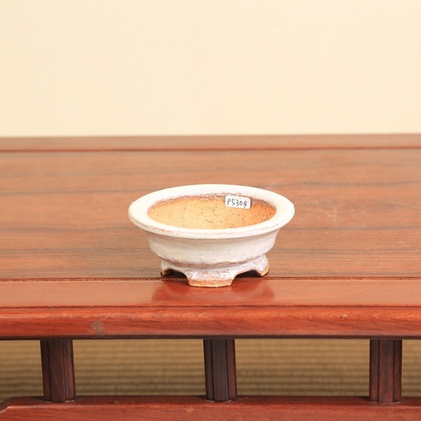 春嘉（はるよし） 11.0cm | 盆栽鉢・水盤,現代小鉢,春嘉 | 遊恵盆栽 本店