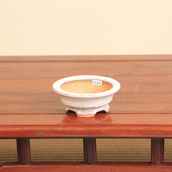 春嘉（はるよし） 11.0cm | 盆栽鉢・水盤,現代小鉢,春嘉 | 遊恵盆栽 本店