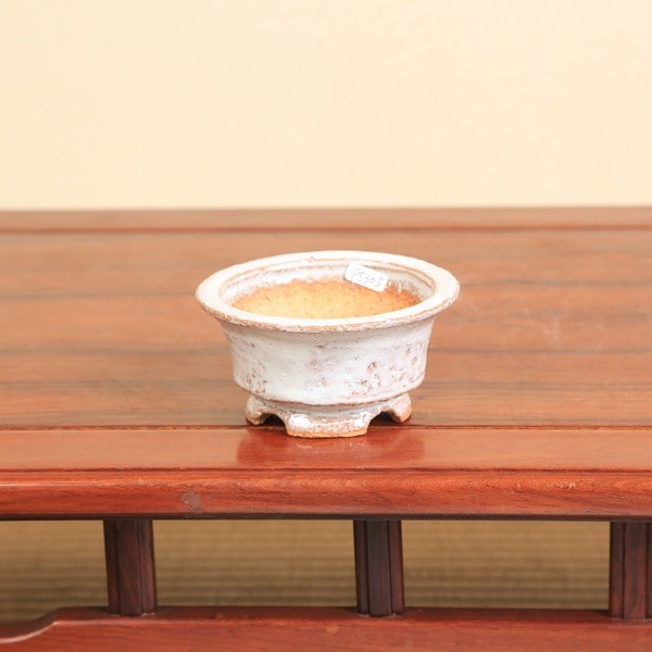 春嘉鉢 鉢：春嘉（はるよし） 11.5cm 【現】*資材 | 盆栽鉢・水盤,現代小鉢