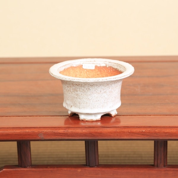 鉢：春嘉（はるよし） 13.5cm 【現】*資材 | 盆栽鉢・水盤,現代小鉢