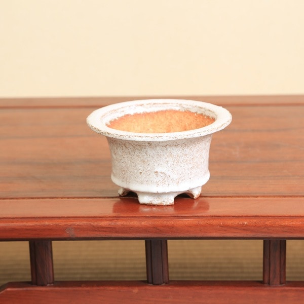 春嘉鉢 鉢：春嘉（はるよし） 13.5cm 【現】*資材 | 盆栽鉢・水盤,現代小鉢