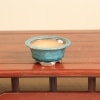 盆栽鉢・水盤,現代小鉢,春嘉 | 遊恵盆栽 本店