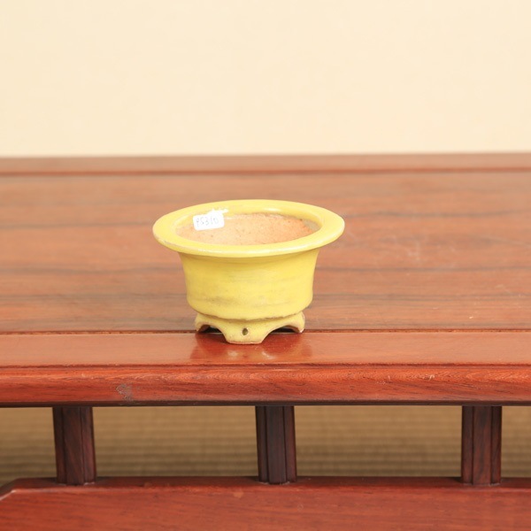 鉢：春嘉（はるよし） 10.5cm 【現】*資材 | 盆栽鉢・水盤,現代小鉢