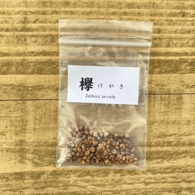 ͷ���ߺϡ���ҡ�ݰ*(���䥭/���䤭)