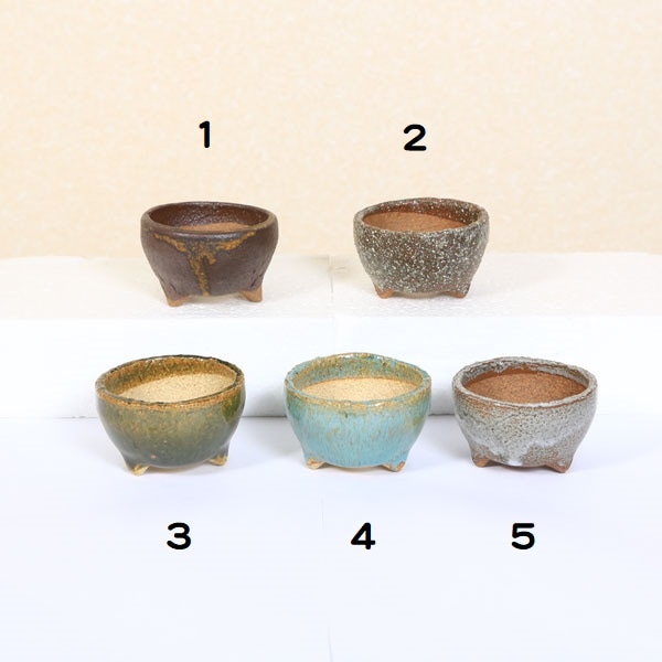 鉢：信楽焼小鉢 丸浅鉢 7.5cm かみ山陶器*資材 | 盆栽鉢・水盤