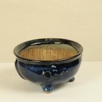 平安虹泉(へいあんこうせん) 9.8cm 【現品】 | 盆栽鉢・水盤,現代