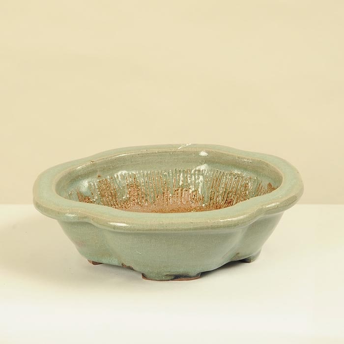 平安虹泉(へいあんこうせん) 15.0cm | 盆栽鉢・水盤,現代小鉢,平安虹