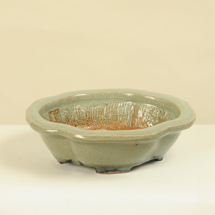 平安虹泉(へいあんこうせん) 15.0cm | 盆栽鉢・水盤,現代小鉢,平安虹