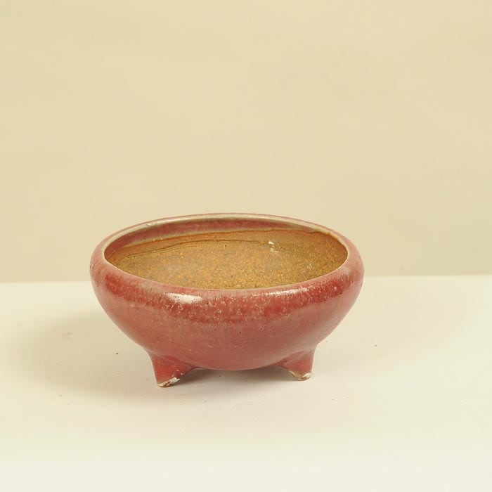 平安虹泉作 盆栽鉢 中古品 （盆栽 樂屋】◇平安虹泉 辰砂釉隅入長方鉢 