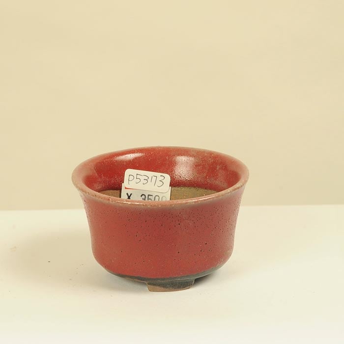 平安虹泉(へいあんこうせん) 7.1cm | 盆栽鉢・水盤,現代小鉢,平安虹