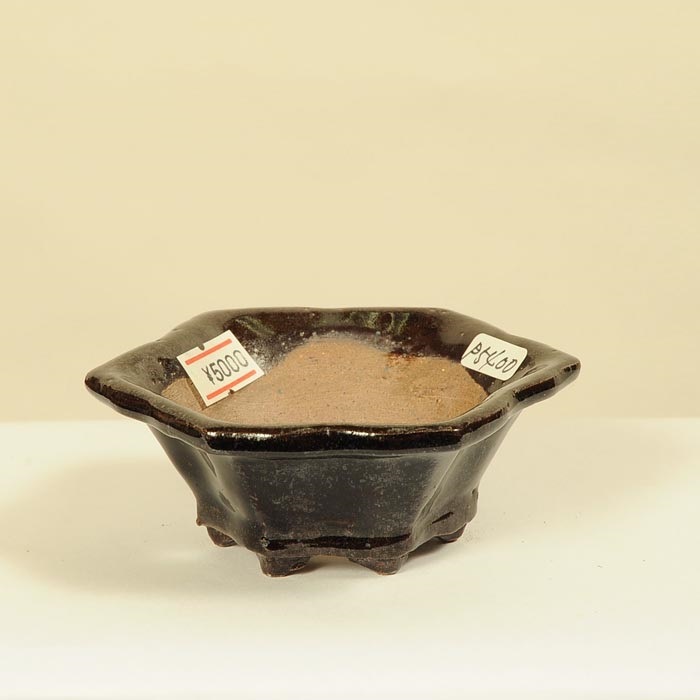 常滑作家：秀峰(しゅうほう) 10.0cm | 盆栽鉢・水盤,現代小鉢,秀峰