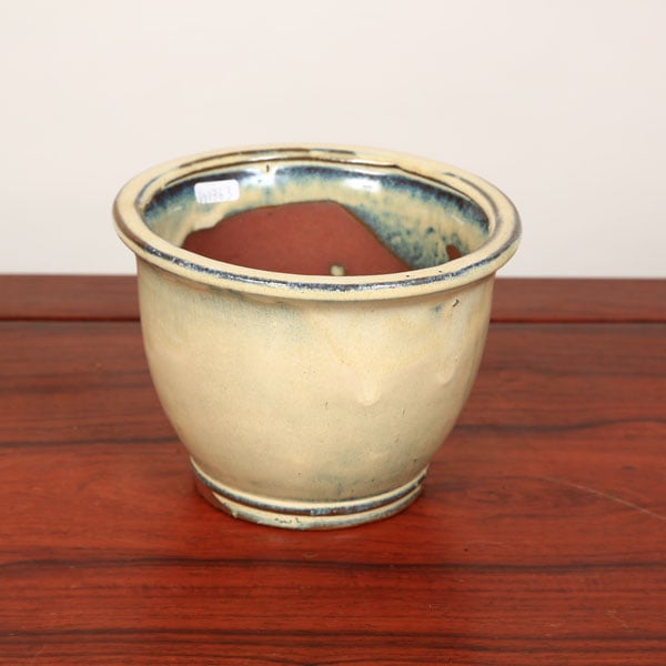 鉢：中国産丸鉢 15.5cm*資材 | 盆栽鉢・水盤,お買い得小鉢,色物,鉢径