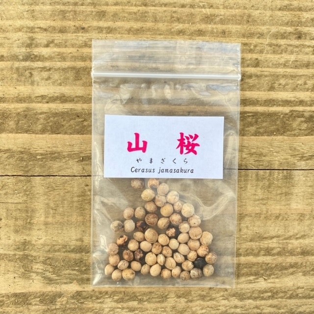 ͷ���ߺϡ���ҡ�����*�ʤ�ޤ�����/��ޥ������