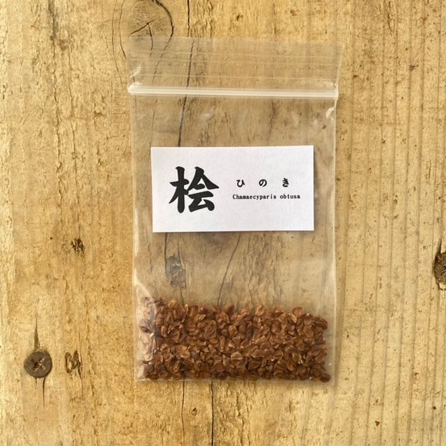 ͷ���ߺϡ���ҡ�ɰ*�ʤҤΤ�/�ҥΥ���