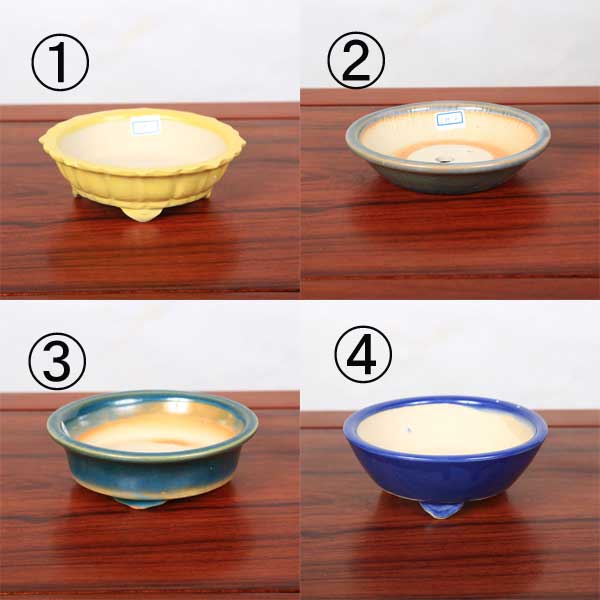 鉢：中国産小鉢 14.5-15.0cm*資材 | 盆栽鉢・水盤,お買い得小鉢,色物