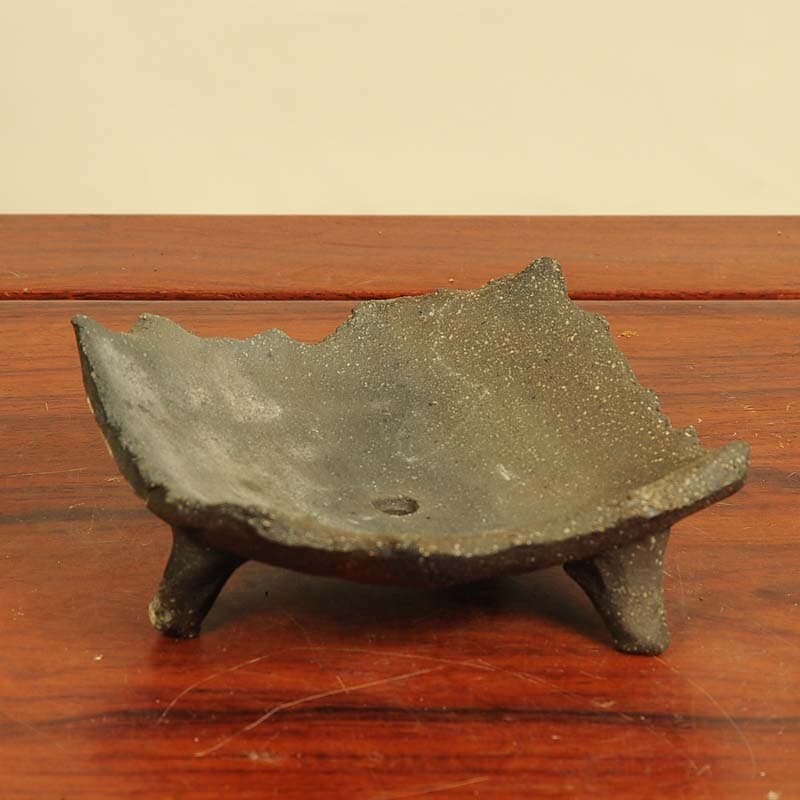 ȭ�����ھƼ�¤�����Ѥ�����ȭ��12.5���*���