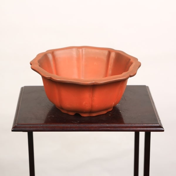 B級品：中国産輪花鉢 15.5cm*資材 | 盆栽鉢・水盤,お買い得小鉢,土物