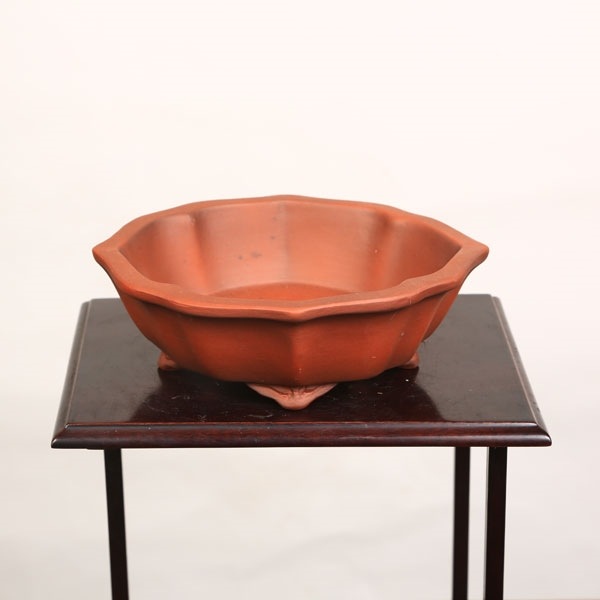 B級品：中国産剣モッコ鉢 17.0cm*資材 | 盆栽鉢・水盤,お買い得小鉢