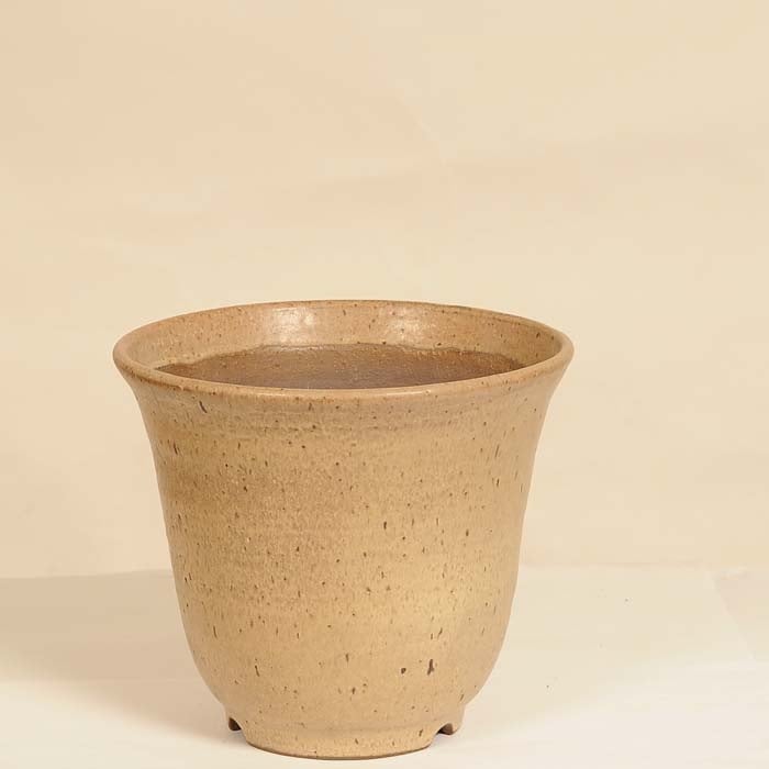 盆栽鉢 鴻陽 早い者勝ち 盆栽鉢 鴻陽 早い者勝ち 盆栽鉢