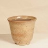 盆栽鉢・水盤,現代小鉢,鴻陽(こうよう) | 遊恵盆栽 本店